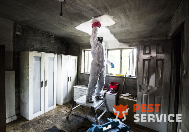 Профессиональная уборка помещений после пожара в Глазове от 2500 руб: удаление сажи, копоти и запаха гари, глубокая очистка поверхностей и восстановление чистоты. Быстро, безопасно и эффективно.