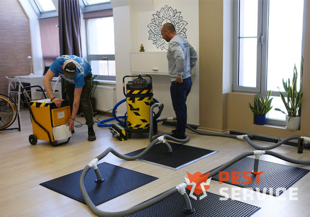 Профессиональная сушка после потопа в Глазове от 3000 руб. Быстро устраняем влагу, предотвращаем плесень и повреждения. Современное оборудование и опытные специалисты. Безопасно и эффективно.